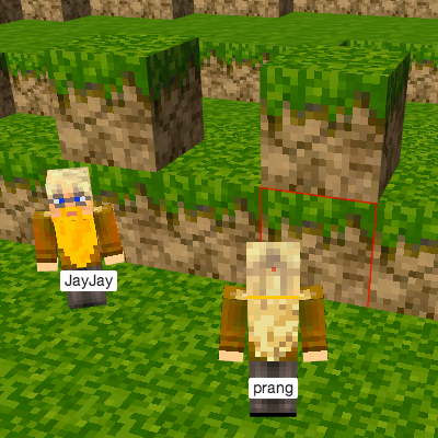 Screenshot of minecraft-like players with labels